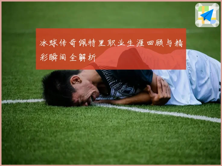 冰球传奇佩特里职业生涯回顾与精彩瞬间全解析